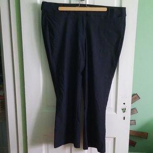 Lane Bryant Allie pants